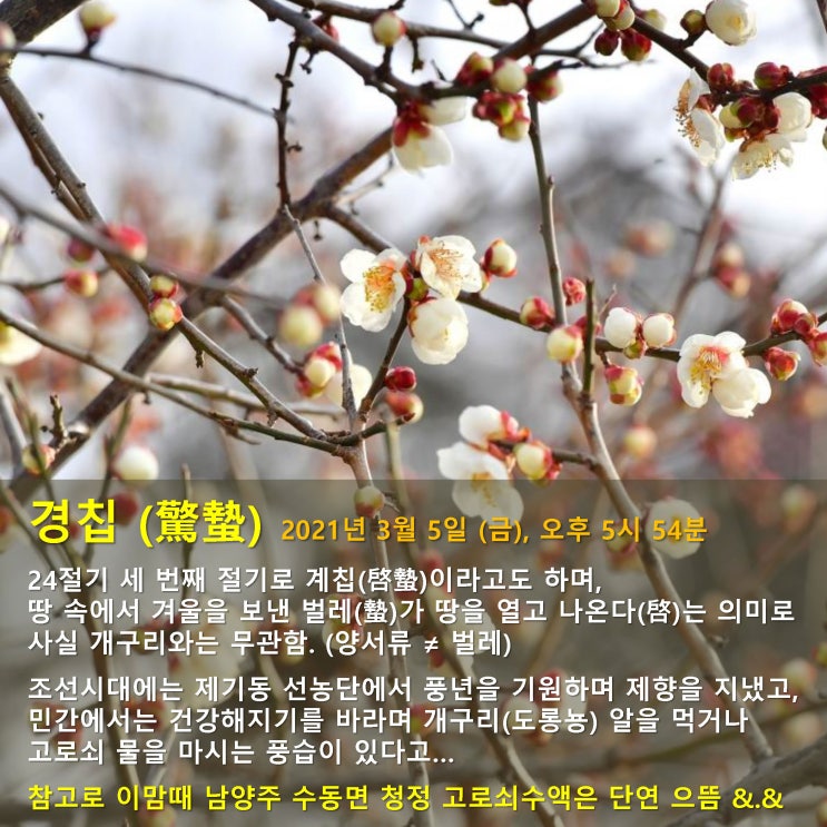  경칩(驚蟄)