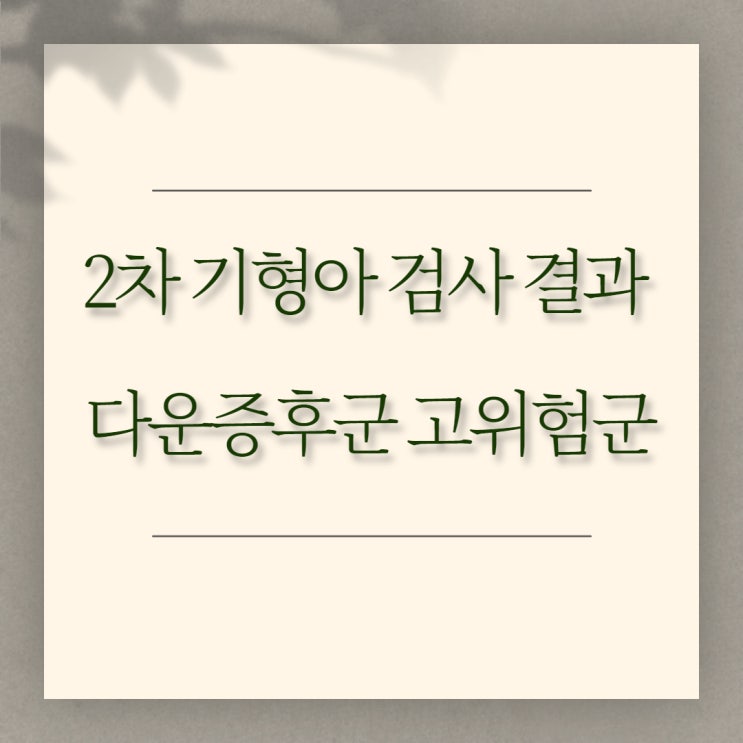  [임신 16주] 2차 기형아 검사 결과 - 다운증후군 고위험군