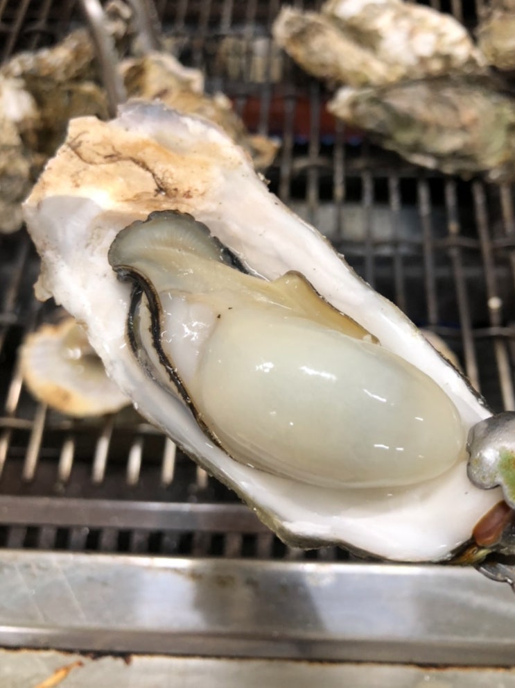  보령 천북굴단지 맛집 등대굴집 내돈내먹 추천