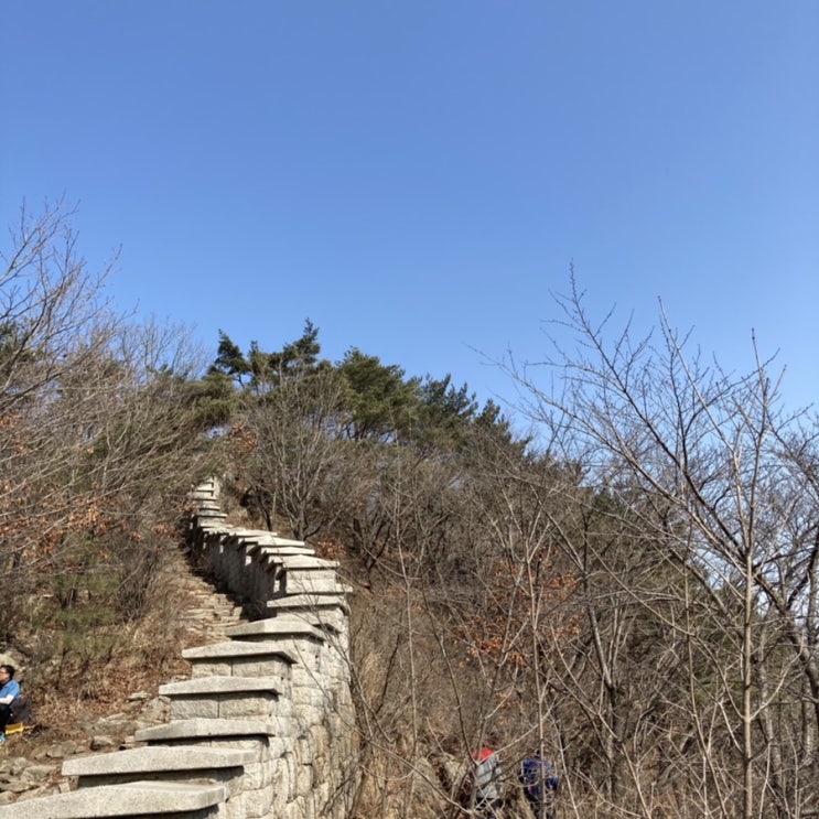 우당탕탕수육도먹는 2월 주말 일상 / 북한산 등산, 제로비건, 플랜트버거, 리얼클래스, 채식한끼몰