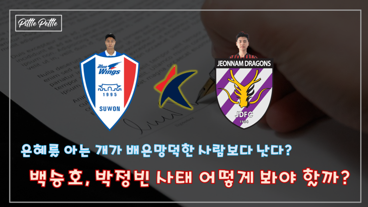  [은혜를 아는 개가 배은망덕한 사람보다 낫다고?] K리그 백승호, 박정빈 사건에 대한 짧은 생각