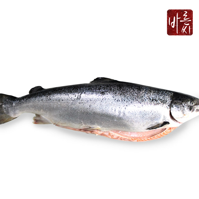 가성비 좋은 바른씨 6.5kg연어 통째로 한마리, 6.5kg, 1개 ··· 가성비 좋은 바른씨 6.5kg연어 통째로 한마리, 6.5kg, 1개 ···