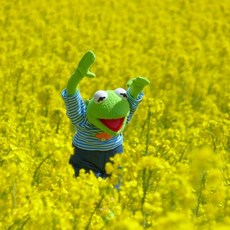  [봄봄재가요양센터]방문요양 핸드폰 채팅으로 편하게 문의하세요~