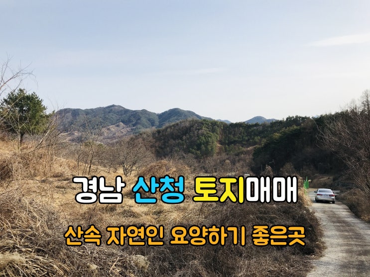  산청부동산(1-733) 해발300 공기좋은 자연인 토지 급매 경남토지 산청땅 매매 입니다