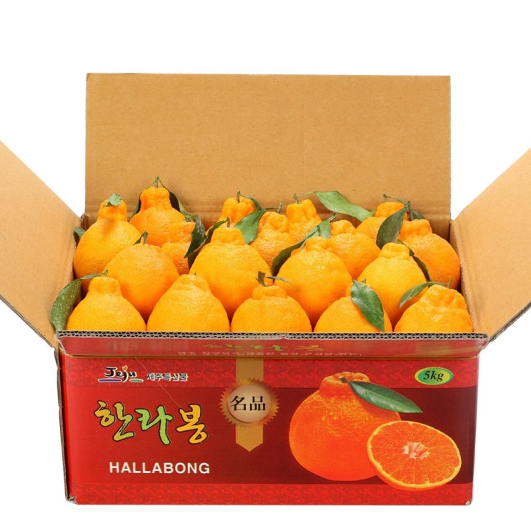 후기가 좋은 깨비농원 고당도 한라봉 4.5kg, 1box, 한라봉 4.5kg 소과 추천합니다 후기가 좋은 깨비농원 고당도 한라봉 4.5kg, 1box, 한라봉 4.5kg 소과 추천합니다