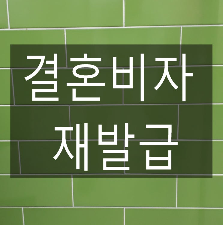  결혼이민 비자(F-6) 재발급 신청자 제출서류