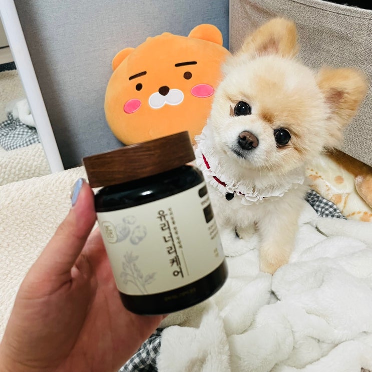  [매드머츠 유리너리 케어] 강아지 고양이 신장영양제로 요로결석 예방하기~