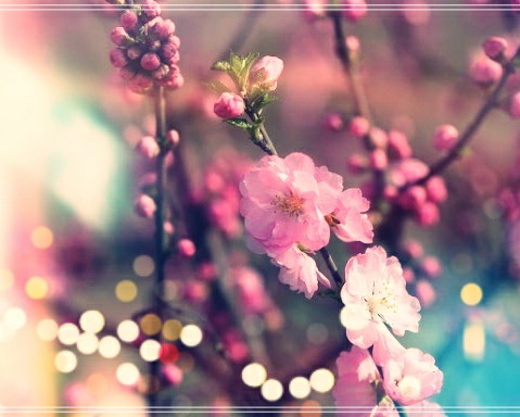  홍염살 연예인과 사주 일주 살펴보기