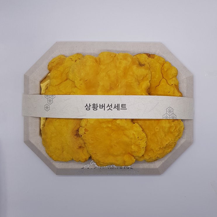 선택고민 해결 청림농원 유기농 상황버섯 선물세트 250g, 1개(로켓배송) 추천합니다 선택고민 해결 청림농원 유기농 상황버섯 선물세트 250g, 1개(로켓배송) 추천합니다