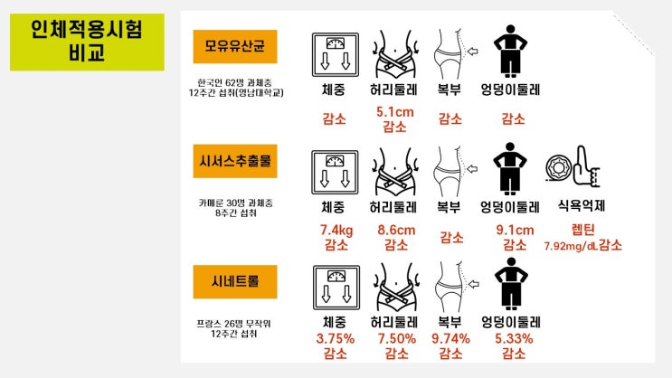  2021년 다이어트 기능성소재의 승자는?! (다이어트 건강기능식품)