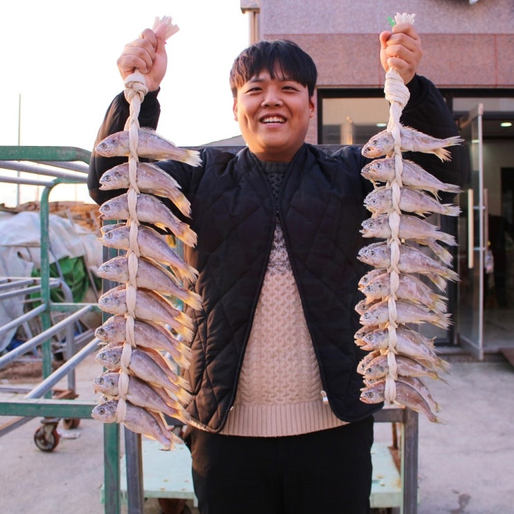 구매평 좋은 청년감별사 법성포 장줄 오가 참조기 영광굴비 선물세트 10미, 1box, 영광굴비 1호 1k~1.1k 내외 20미 진공포장 좋아요 구매평 좋은 청년감별사 법성포 장줄 오가 참조기 영광굴비 선물세트 10미, 1box, 영광굴비 1호 1k~1.1k 내외 20미 진공포장 좋아요