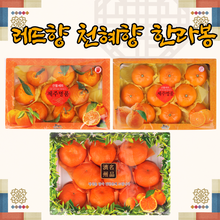 많이 찾는 제주 한라봉 레드향 천혜향 감귤 귤 노지감귤 3kg 5kg, 5.제주감귤 5kg L사이즈 추천해요 많이 찾는 제주 한라봉 레드향 천혜향 감귤 귤 노지감귤 3kg 5kg, 5.제주감귤 5kg L사이즈 추천해요