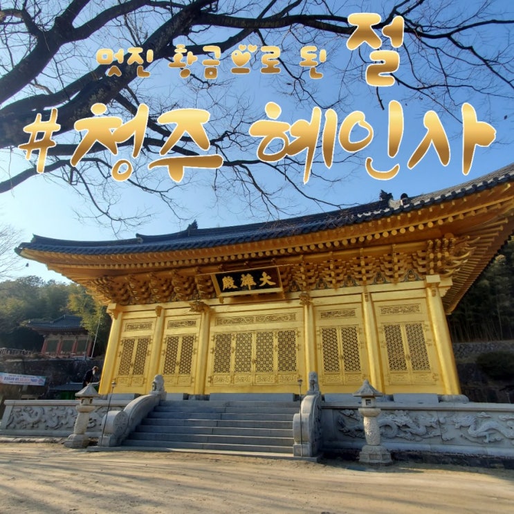  청주가볼만한 사찰 황금절혜인사