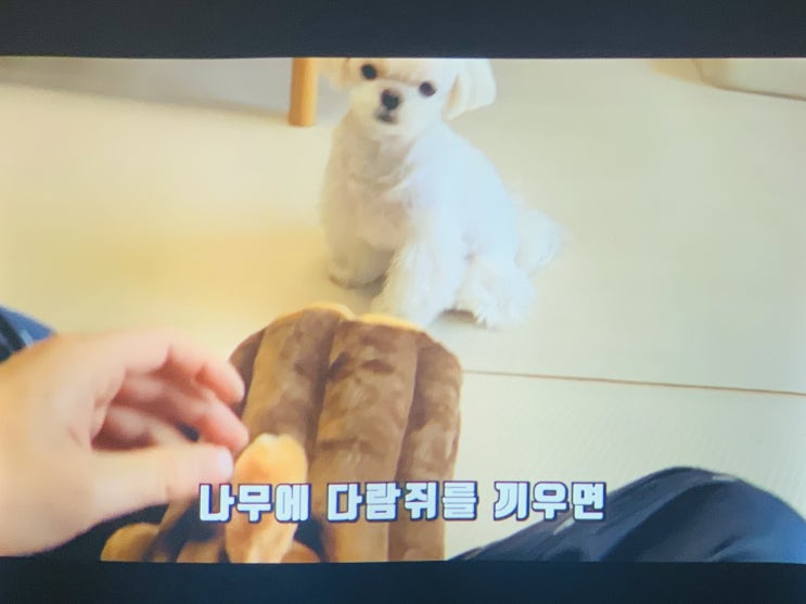  변호사 사무용으로 필요한 빔프로젝터 스크린 설치후기