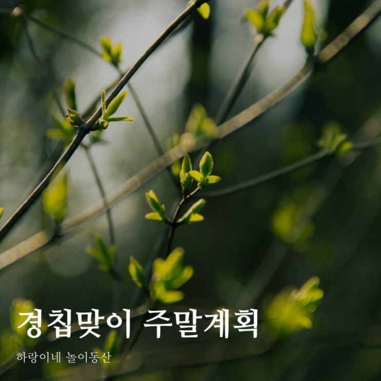  17개월아이와 경칩맞이 주말계획