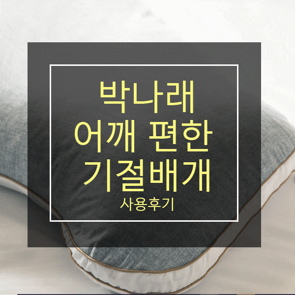 박나래 어깨편한기절베개,기절베개 추천!!