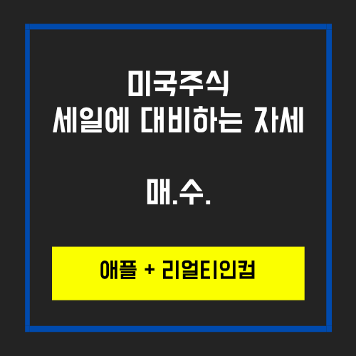  오늘 미국주식 쇼핑_AAPL, 리얼티인컴