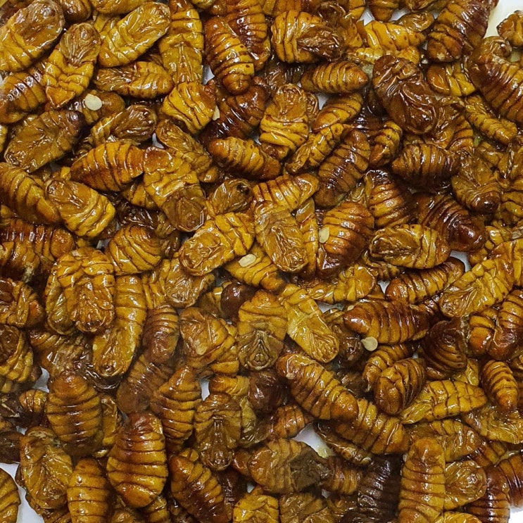 최근 인기있는 번데기 냉동번데기 1kg 국민간식 안주 뻔데기, 1개 추천합니다 최근 인기있는 번데기 냉동번데기 1kg 국민간식 안주 뻔데기, 1개 추천합니다