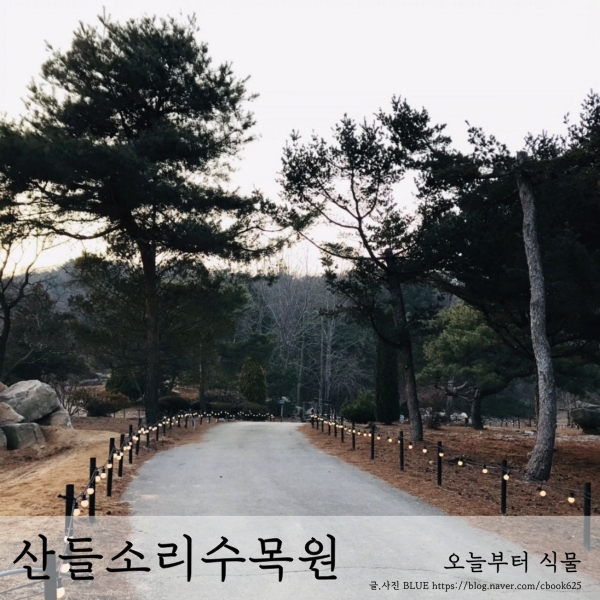  남양주 산들소리수목원 카페 나들이