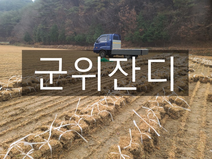  전통의 정겨움과 청정 자연 군위 잔디 배송