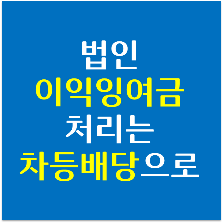  법인의 자산관리. 이익잉여금 처리는 배당하세요~