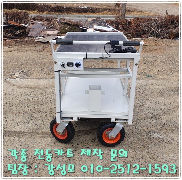  전동카트 전문 기업[ECM]탄성코트[도색 전동카트](소)