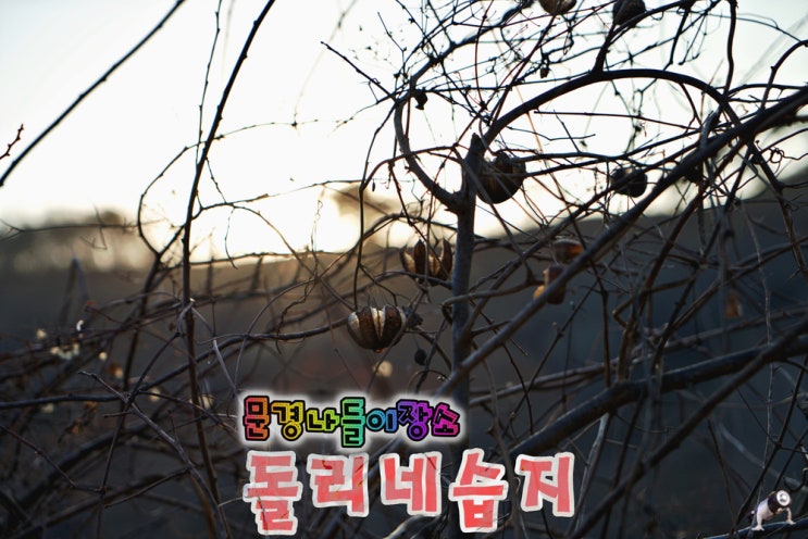  문경 언택트 나들이장소 추천 돌리네습지