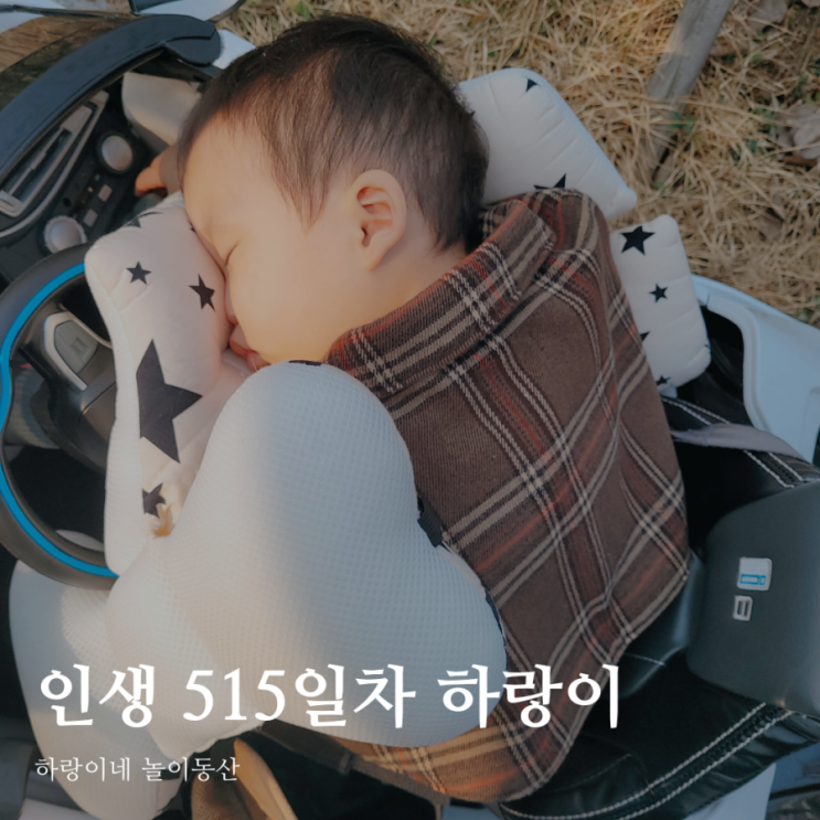  인생515일차 아들 육아일기, 17개월 성장발달