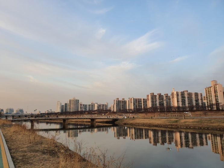  직장인 운동_ 날이 좋아서, 운동을 결심했다 (홈짐+바디프로필)