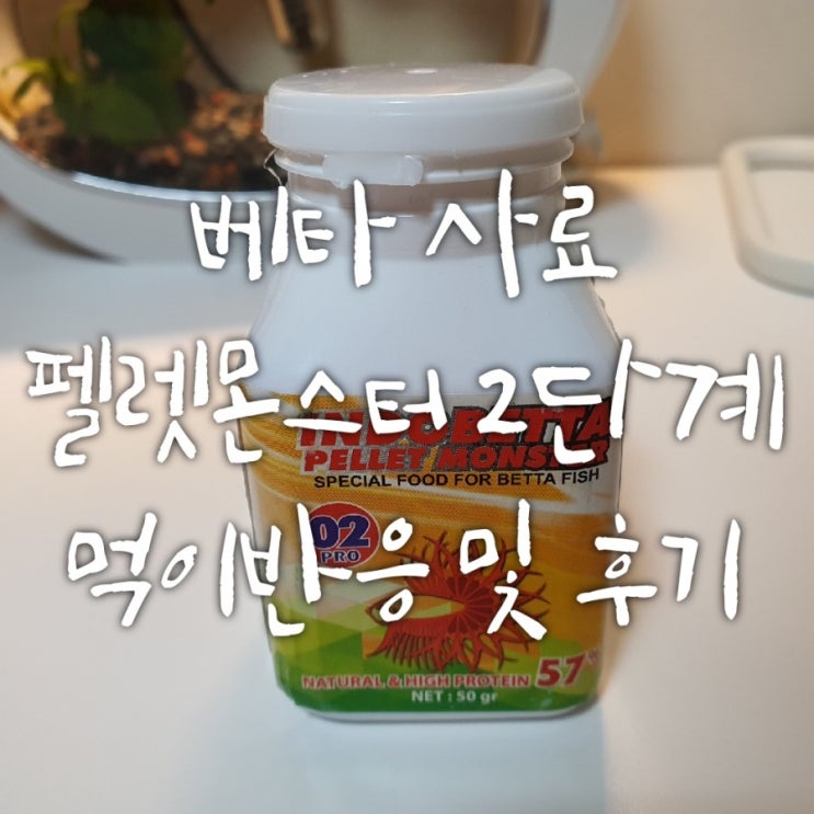 베타 사료 추천 펠렛몬스터 2단계 먹이반응 후기 베타 사료 추천 펠렛몬스터 2단계 먹이반응 후기