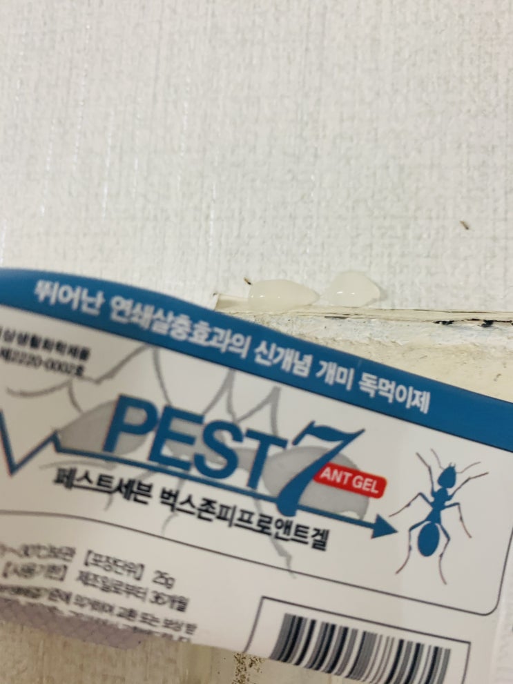 개미약 내돈내산 페스트세븐 개미박멸 퇴치 찐 후기