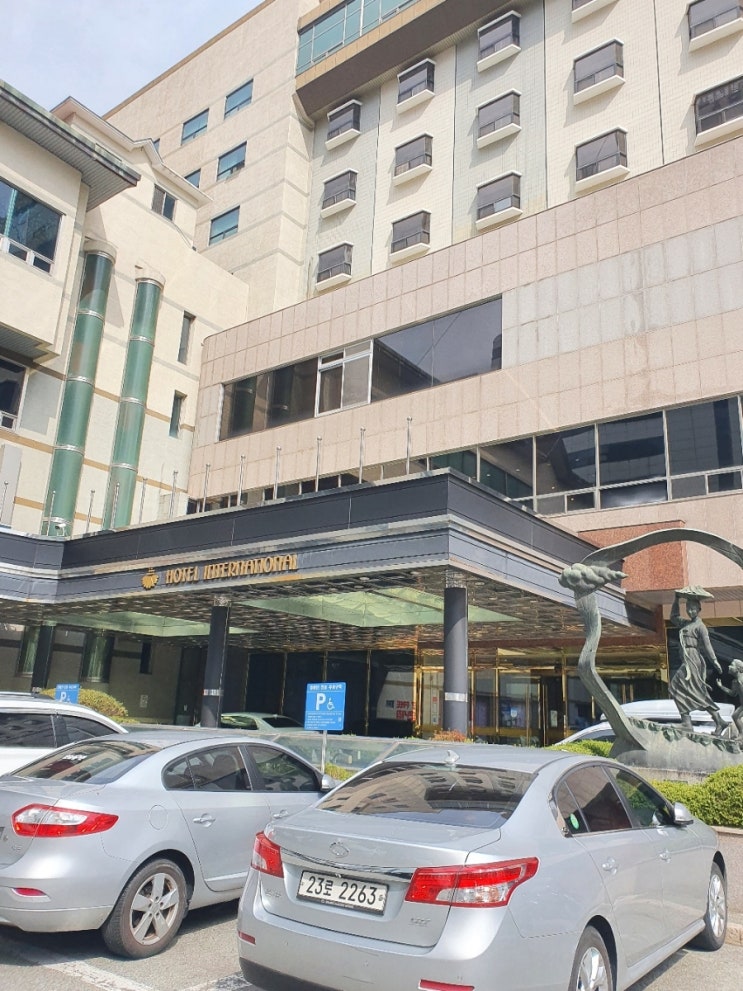  사촌형 결혼식  참여 & 다큐멘터리 인터뷰 & 불타는춘천닭갈비 먹방 