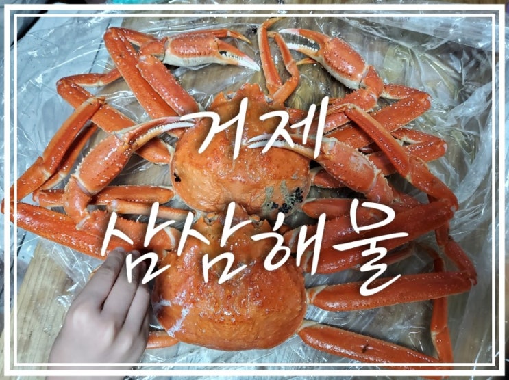  거제 옥포 삼삼해물  방문 대게리뷰
