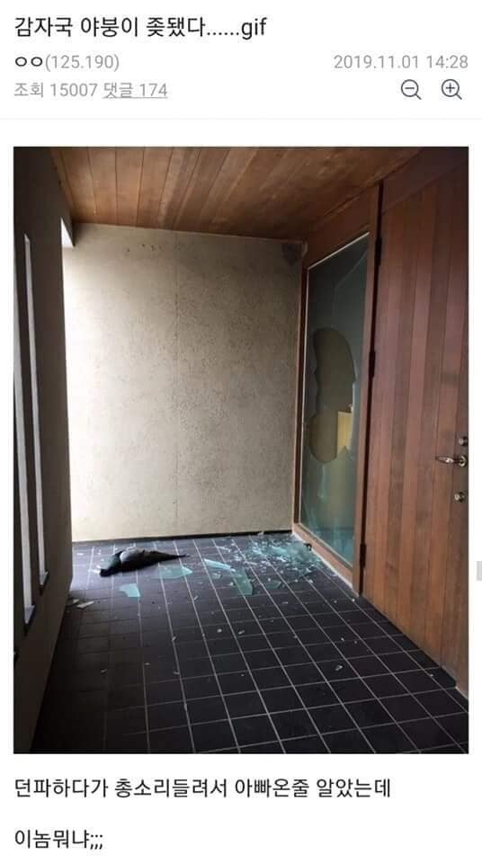  (욕있는 매운맛 유머) 문 부서진 감자국 디씨인.jpg