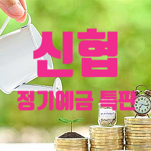  전주 동부신협 정기예금 특판 금리 정보 및 가입 조건 정리