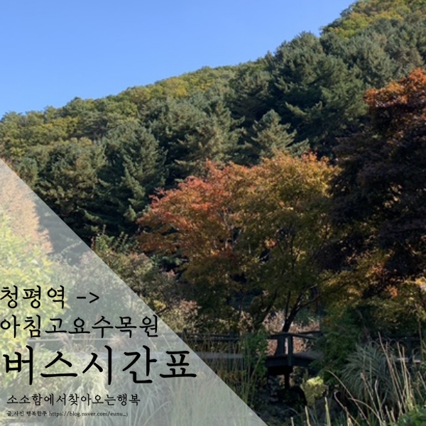  청평역에서 아침고요수목원 버스시간표 대중교통이용