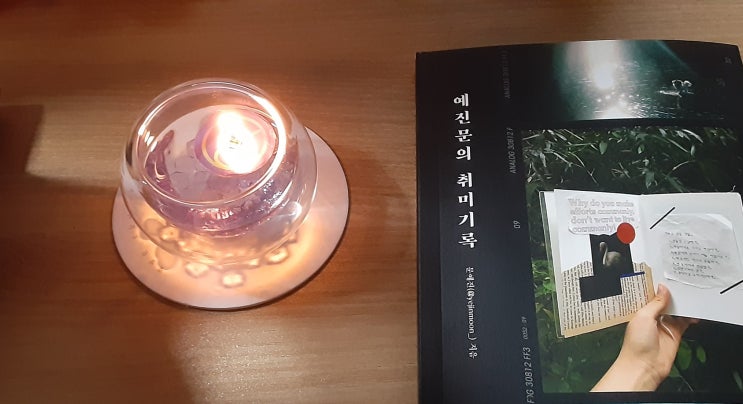  소중하고 사랑스러운 것들이 쌓아가는 에세이 예진문의 취미 기록