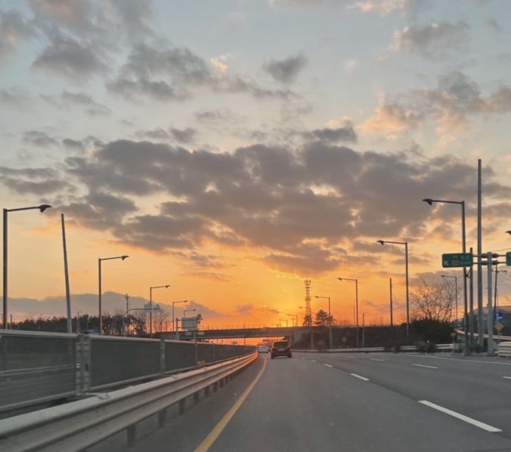  뇽이야기 : 3월 (1)