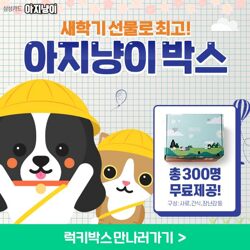  반려동물 앱 아지냥이 박스 EVENT