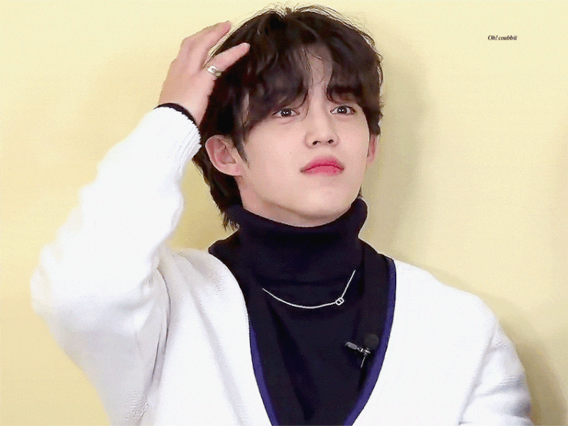 [SEVENTEEN] CARAT Day Photos & Videos Collection (2017~)