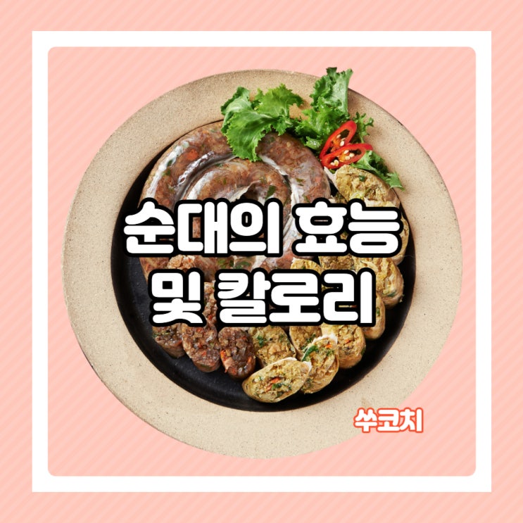  순대는 다이어트 음식일까? 순대의 효능 및 칼로리