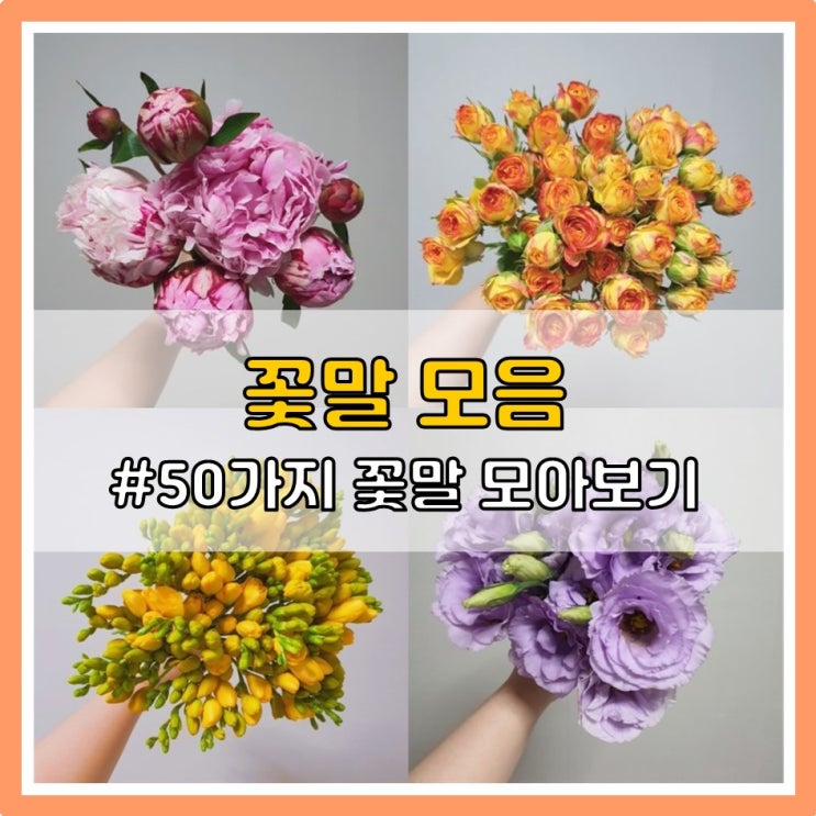 꽃말 모음: 꽃말 예쁜 꽃, 꽃말 슬픈 꽃, 선물하기 좋은 꽃