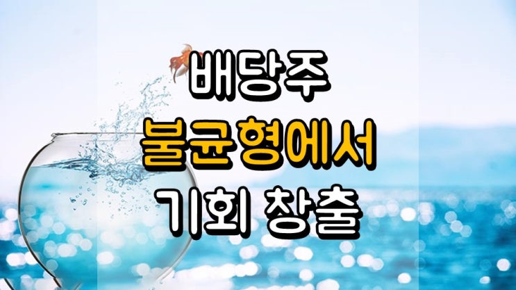  배당주 불균형에서 기회 창출 - VYM