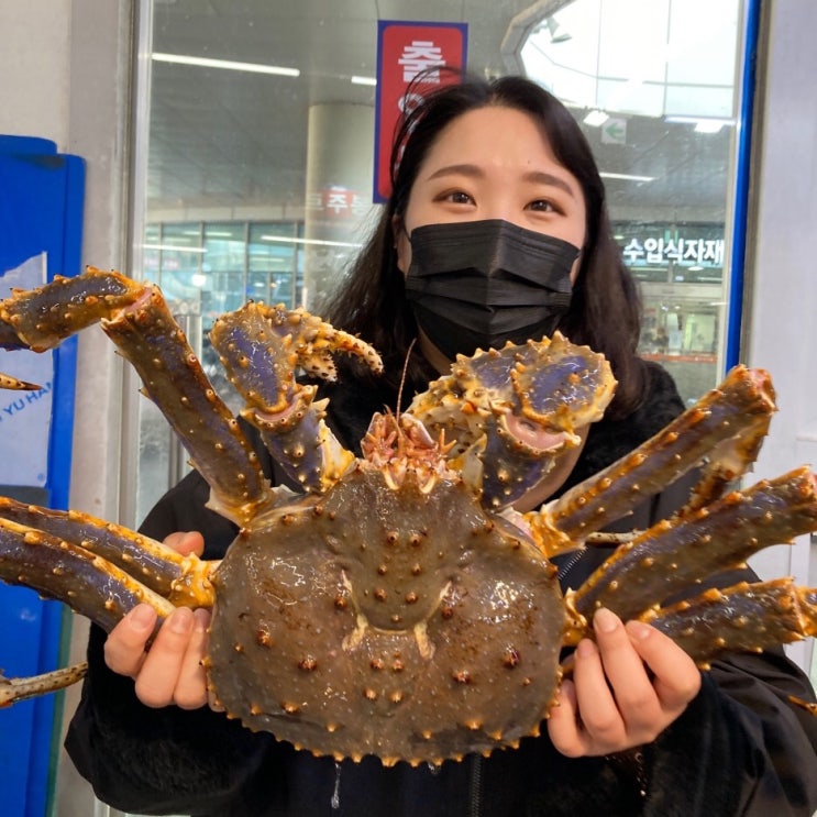  [가락시장 킹크랩 남원상회]리얼 4키로 블루킹크랩 먹방