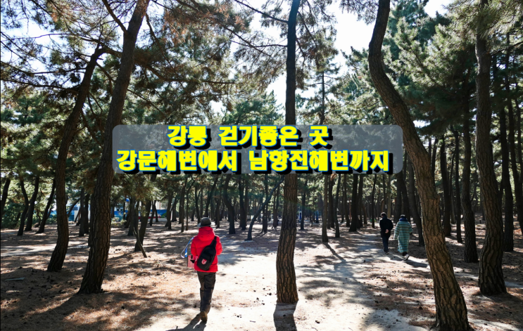 강릉 걷기좋은 곳, 강문해변에서 남항진해변까지 강릉 걷기좋은 곳, 강문해변에서 남항진해변까지