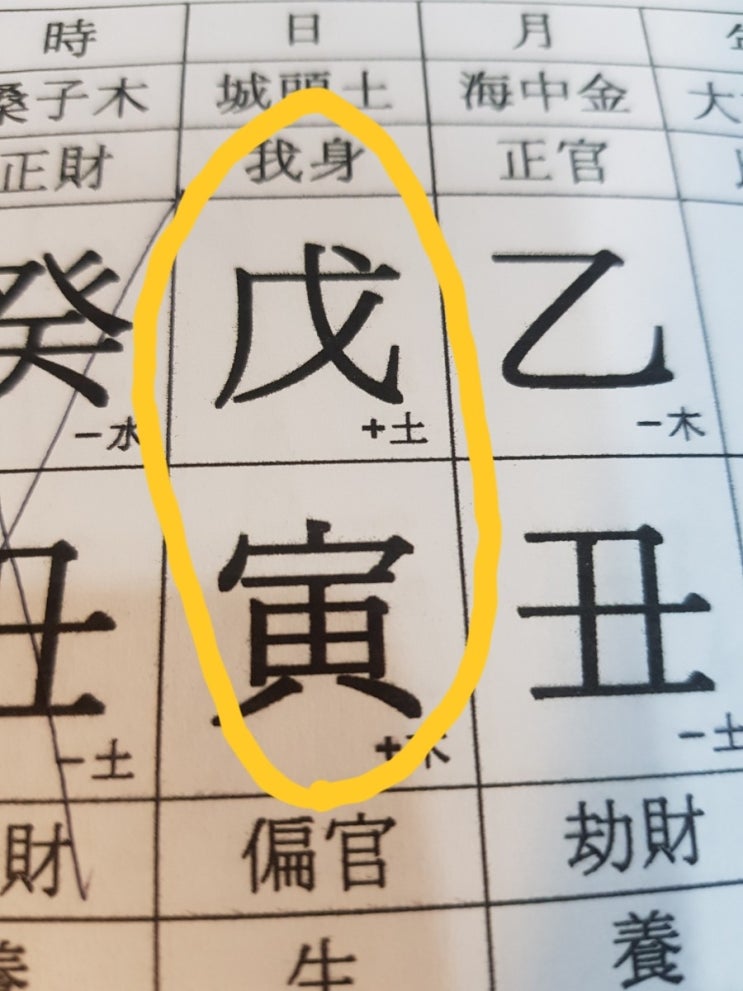  말띠,무인일주, 신축년운세
