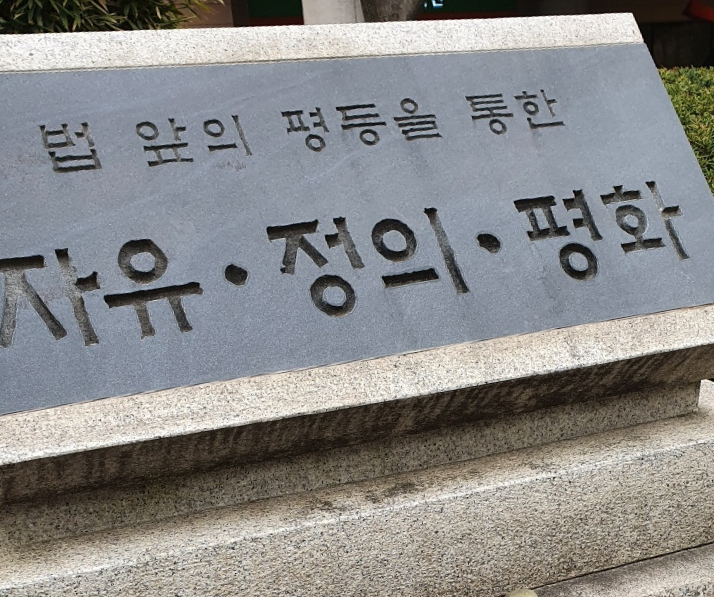  출입국 관리법 위반  부득이한 사례