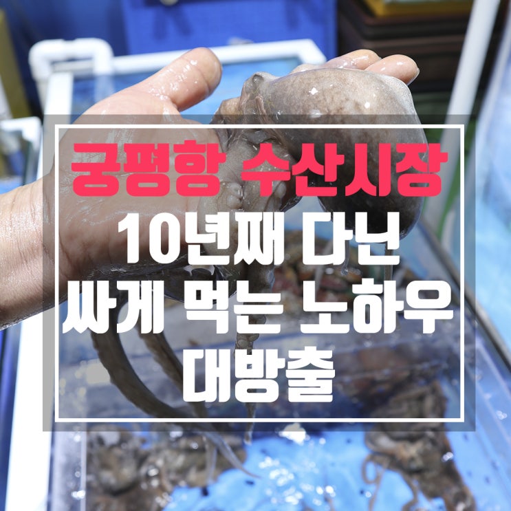  궁평항 수산시장 저렴하게 많이먹는 방법
