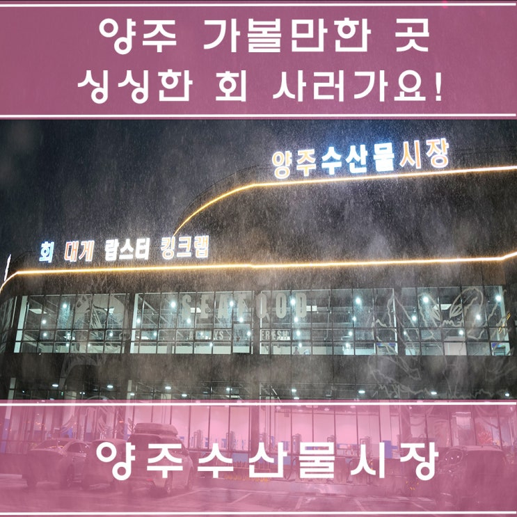  양주수산물시장 가오픈 했어요. 내부 구경 및 킹크랩 시가 알려드릴게요.