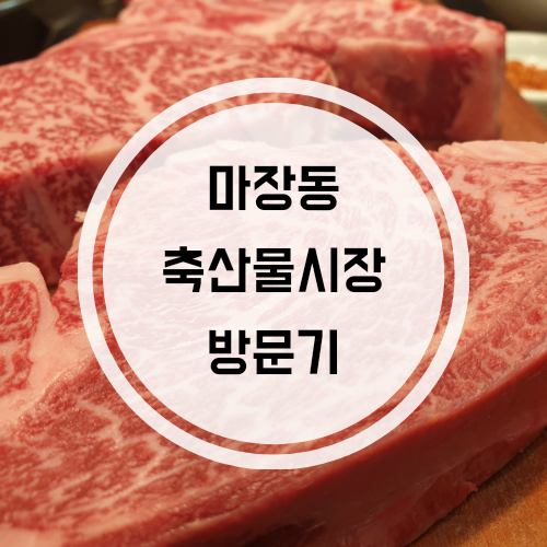 마장동_ 한우타운숯불구이정육식당 후기